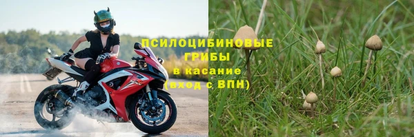 синтетический гашиш Алексин