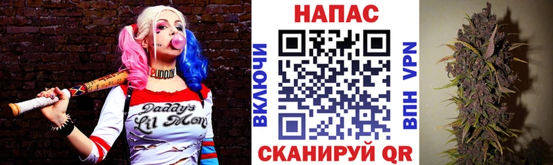 Марихуана планчик  Кореновск 